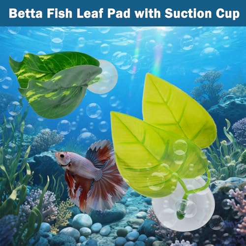 5 PCS Betta Fish Leaf Pad, Betta Bed Leaf Hammock, Realistic Fish Tank Decorations with Suction Cup for Sleeping Resting Hiding Playing Breeding, Colorful Design Natural Habitat