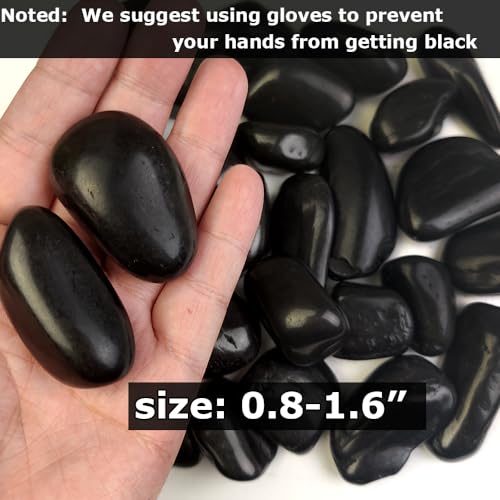 HappyFiller 18 LB Black Pebbles Decorative Polished Terrarium Rocks Stones for Aquarium,Fish Turtle Tank,Fountain,Plants Top Dressing,Cactus,Succulents,Garden Landscaping,0.8-1.6 Inch - color: Black