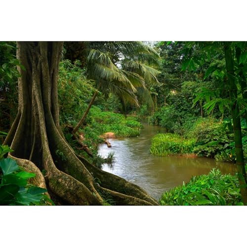 Forest Aquarium Background Jungle Rainforest River Terrarium Background Lush Green Trees with Moss Fish Tank Background Forest Stream Green Plants Reptile Habitat Background Poster Vinyl 24x12in - color: Root Green, size: 24(W)x12(H)in