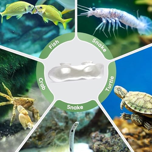 LIYAOLI Aquarium Ornaments Cave Tunnel with Viewing Ports | Fish Tank Decoration Hideout for Pleco, Shrimp & Corydoras | Substrate-Friendly Design & Sinking Base - color: White - 02