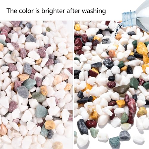 Boniosz 2LB Succulent and Cactus Gravel Pebbles, 1/4 Inch - 1/3 Inch Natural Decorative Polished Stones, River Rocks for Plants, Aquariums, Vases, Terrarium and Outdoor Gardening, 5 Mixed Colors - color: 5 Mixed Colors, size: 2lb