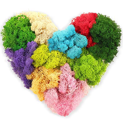 Canlierr 7 Oz Colored Fake Moss Preserved for Crafts Artificial Decorative Moss Faux Garden Dried Floral Forest for Terrariums Wall Decor Fairy Gardens Wedding Floral Project(Mixed Color)