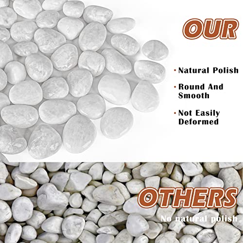 White Pebbles for Indoor Plants 2.5 LB Small River Rocks 1"-1.5" Polished Decorative Stones Smooth Aquarium Gravel for Fish Tank Vases Planters Outdoor Landscaping Garden (40oz) - size: 2.5 LB (40oz), style: White