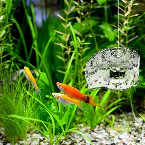MiOYOOW Aquarium Planaria Catcher, Transparent Snail Trap Natural Capture Planaria Catch Box for Aquarium Fish Tank Planaria Tiny Snail