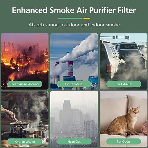 Core 300 Smoke Replacement Filter for LEVOIT Core 300-P Core 300 Core 300S Core 300S-P VortexAir Air Purifie-r, Core 300-RF, 4-in-1 Activated Carbon Filtration System, 2 Pack, Blue - color: Blue