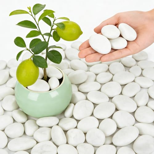 1-2 Inch Polished River Rocks, Decorative Stones for Indoor Plants, Vase Filler, Fish Tank & Aquarium, Garden Landscaping, White, 18LB - color: White, size: 18LB