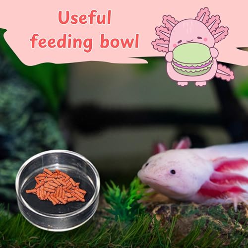 Axolotl Hides for Aquarium with Feeding Dish and Fake Plants Set, Axolotl Cave with Green Plants, Aquarium Decor, Fish Tank Decorations, Turtle Tank Accessories (Cave+Plant+Feeding Dish, L) - color: Cave+Plant+Feeding Dish, size: L