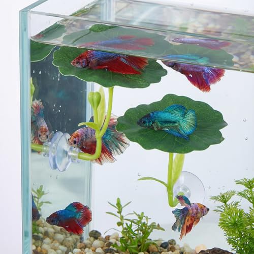 4 Pcs Betta Fish Leaf Hammock Betta Fish Bed Leaf Bettas Suction Cup Tank Decor Green Hammock for Fishes Spawning Grounds Practical Resting Spot Leaves Pad Simulates Natural Habitat Resting Bed