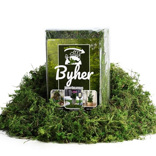 BYHER 16OZ Bulk Artificial Moss for Plants Indoor - Realistic Green Moss for Crafts, Fairy Garden Decor, Potted Plants, Olive Trees Artificial Indoor, Wedding Centerpieces, Fresh Green Faux Grass
