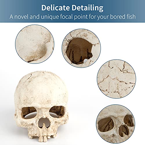 Uniclife Aquarium Skull Reptile House Decor Resin Head Skeleton Ornament for Tank Landscape Decorative Hideout Cave Shelter for Small Fish Shrimp Snail Gecko Spider Lizard in 5-20 Gallon Fish Tank