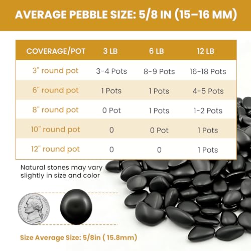 Polished Black River Rocks - 5/8 Inch Decorative Stones for Aquarium, Landscaping, Vase Fillers & Indoor Plants,Highly Polished Jet Black Pebbles for Garden, Succulents, Home Decor-12LB - size: 12lb, style: black