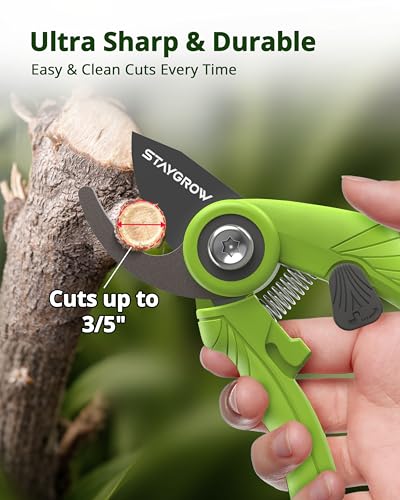 Garden Shears - 6.9" Pruning Shears for Gardening with SK5 Stainless Steel Sharp Blades, Tree Trimmer Garden Scissors with Comfort Handle and Safety Lock, Gardening Hand Tools - Green - style: 6.9" Bypass Green