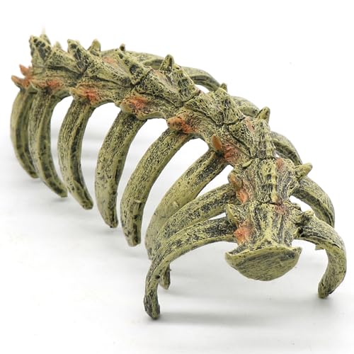 Aquarium Skull Animal Skeletons, Reptile Tank Accessories, Fish Tank Decorations for Amphibians, Betta Fish, Shrimp, Hermit Crab, Leopard Gecko