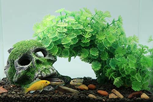 AQUA KT Aquarium Landscape Head Skeleton Skull Rock Fish Hiding Place Cichlid Cave for Gold Betta Fish Tank Decoration Freshwater or Marine Aquariums - color: Aquarium Skull