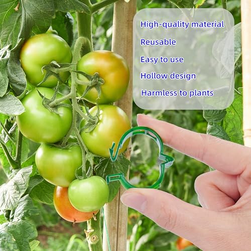 200Pcs Garden Vine Plant Support Clips,Plastic Fixing Clips for Securing and Training Climbing Plants,Tomatoes,Grapes,Vine Vegetables and Potted Plant (200, White) - color: White