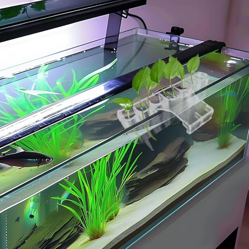 2 Pack 7-Hole Aquarium Plant Holder with Long Hook - Hanging Aquatic Plant Pot for Fish Tank, Versatile Plant Holder - Ideal for Aquascape Decorations on Top of Tank (Transparent) - color: Transparent