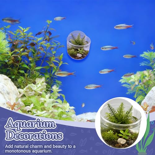 4 Pack Aquarium Plant Holder with Hole, Fish Tank Aquatic Plant Pot Cup with Large Suction Cup, Clear Acrylic Aquarium Planter for Fish Tank Aquascape Decorations