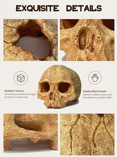 Aquarium Decor - Small Skull Hiding Cave for Fish Tank, Aquarium Hideout Ornament with Skull Texture for Betta, Guppy, Shrimp, Spider - Aquatic Hide Decoration, Fish Hiding House（White） - color: Hollow Skull Décor - White