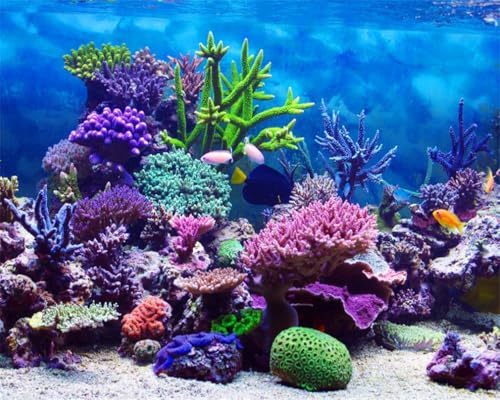 10x8ft Coral and Fish Under Sea Backdrop Aquarium Underwater World Tropical Seabed Atoll Reef Background for Photography Marin Ocean Diving Summer Boy Girl Portrait Photo Studio Props Vinyl - size: 10x8ft