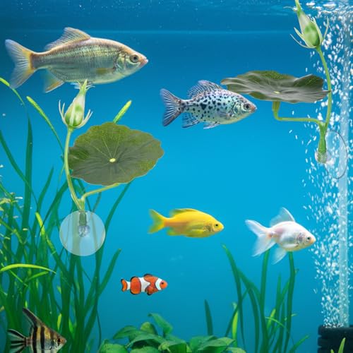 Betta Hammock, 3 PCS Betta Leaf Fish Tank Decor for Aquarium Plastic Fishes Playing Toy Practical Soft Fish Resting Spot Tank Aquarium Decoration with Suction Cup for Sleeping Resting Hiding Playing