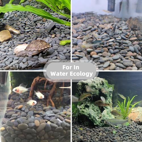 45lb River Rocks Pebbles for Plants & Succulents, Decorative Outdoor Landscaping Garden Rocks, Natural Small Mexican Beach Pebbles Aquarium Rocks Gravel for Fish Tanks Vase Yard Decor - size: 45LB, style: Small