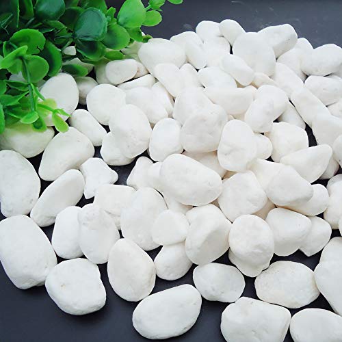 WAYBER 2 Lb/920g White Stones Decorative Pebble Rock Sand for Aquarium/Fish Turtle Tank/Vase Filler/Succulent Plants Decoration (Fill 2 Cups) - color: White, size: 2 Pounds