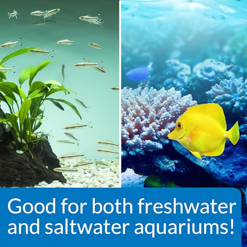 API STRESS ZYME Freshwater and Saltwater Aquarium Cleaning Solution 16-Ounce Bottle - color: multi natural, size: 16 oz