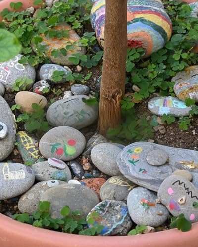 Natural River Rocks-5 lbs of Pebbles and River Stones,1-2 Inch Plant Rocks for Landscaping,Garden Paving,Crafting,Walkways,and Outdoor Decorative Stone,Mexican Beach River Rocks - color: 1-2Inch, size: 5Pounds