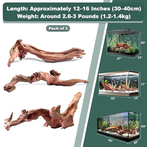 Natural Wood Driftwood for Aquarium Fish Tank Decor,Assorted Driftwood Trunk Branch for Reptile Tank Decor (MOP-ZYM Driftwood Branch (12 to16 Inch)-Pack of 3) - color: MOP-ZYM Driftwood Branch (12 to16 Inch)-Pack of 3