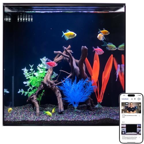 HelloReef 15 Gallon Glofish Complete Freshwater Aquarium Kit with App Controlled Smart LED Lighting, Filtration, Glofish Decor, and Guided Online Learning Center