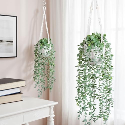 DREAMLOOM 2 Packs Fake Hanging Plants with Pots, Artificial Eucalyptus Hanging Plants with Macrame Hanger for Indoor Decor, Fake Hanging Vines Faux Greenery for Home Kitchen Office - color: Eucalyptus