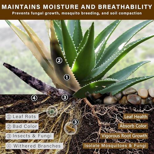 NUPICK 16lb Mix River Rocks for Outdoor Landscaping, 2-3 Inch Pebbles for Indoor Plants, Natural Polished Aquarium Gravel, Decorative Rocks for Succulent, Garden, Vases Fillers, Bird Baths - color: Mixed, size: 2-3"-16lb