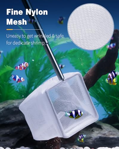 Pawfly 2 Inch Aquarium Shrimp Net with Extendable Stainless Steel Handle, Tiny Fish Tank Net for Shrimp Baby Fish or Food Residue Debris, Soft Round Fine Mesh - color: Blue Square, size: 2 Inch