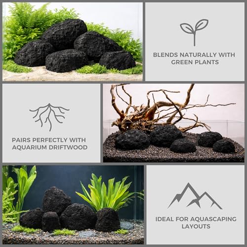 2.2-8.1 Inches Natural Black Lava Rock, 5 PCS Mixed Sizes Aquarium Rocks for Aquascaping, Terrariums, Reptile Tanks & Aquarium Décor - size: 2.2-8.1 in