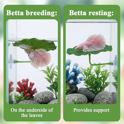3 Pcs Betta Fish Leaf Hammock Soft Betta Bed Bettas Plastic Fish Hammock Aquarium Decor Betta-Fish Tank Decoration Plants Practical Resting Spot for Sleeping Resting Hiding Playing