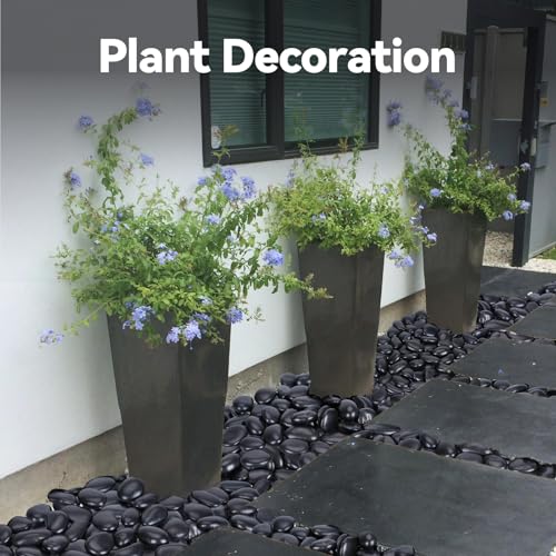 Pulovin 20 lbs Black Stones for Plants Indoor, 2-3 Inch Decorative River Rocks for Plants, Flower Pots, Vase, Polished Garden Stones for Outdoor Landscaping, Walkways, Yard - color: Black 2-3 Inch