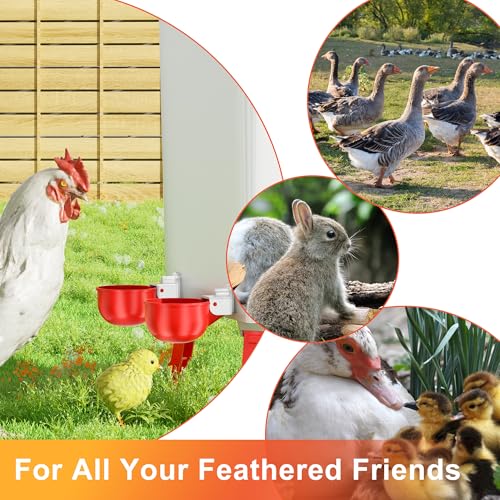 ZenxyHoC Chicken Waterer Cups, 6 Pack Automatic DIY Chicken Water Cup with 3/8'' Hole Saw