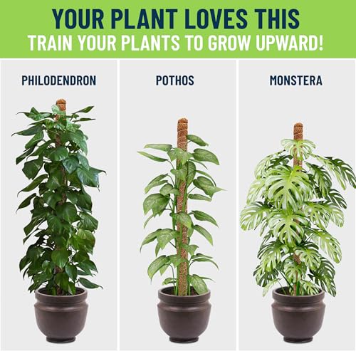 Moss Poles for Climbing Plants – Bendable Stake for Indoor Plants 28 Inch (2 Pack), Monstera Support, Moss Stick, Climbing Plant Support - size: 28" - 2 Pack