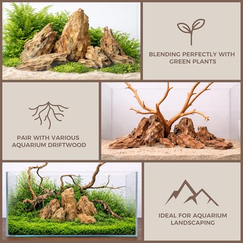 2.2-4.1 Inches Natural Dragon Stone, 10 PCS Small Aquarium Rocks for Aquascaping, Nano Tanks, Terrariums, Reptile Tanks & Aquarium Décor - size: 2.2-4.1 in