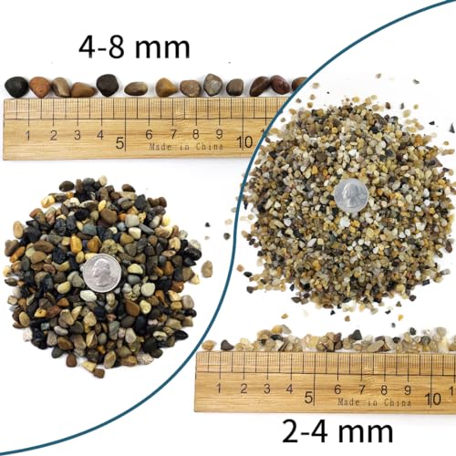 40LB Coarse Sand, Colored Rocks Pebbles, Quartz Sand for Cactus Bonsai, Succulent Plant Bonsai Paving, Vase Filling Decoration, Natural Sand for Fish Tank Decoration Paving(2-4mm) - size: 40LB, style: 2-4MM