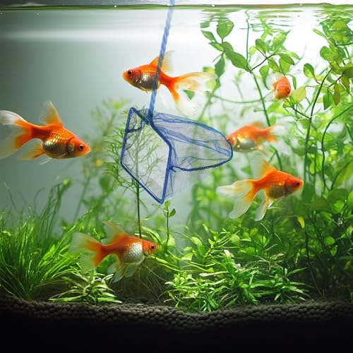 3 Pack Aquarium Net, Multi-Size Fine Quick Fish Catch Nets Extra Soft Nylon Fishing Nets with Plastic Handle for Aquarium Fish Tank Supplies- Blue (4in,5in, 6in) - color: Blue, size: Multi-Size Set: 4"/5"/6" (3-Pack)