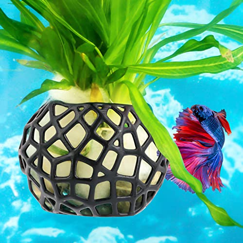 Aquarium Plant Holder with Suction Cups - Hanging Planter for Aquatic Plants, Fish Tank Decoration & Cultivation Tool (Black)