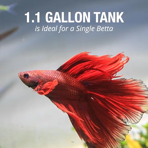 Tetra LED Half Moon Aquarium Kit, 1.1 Gallons, Small, Clear Plastic Fish Tank With Curved Front, Easy Feeding And Movable, Energy-Efficient LEDs Ideal For Bettas Great As Desk Aquarium