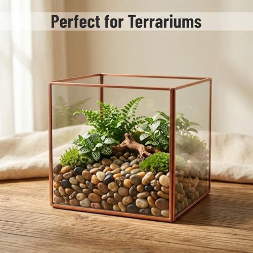 Midwest Hearth Decorative Mixed Pebbles for Plants & Terrariums | Polished Natural Stones | 3/8" Size (5-lb Bag) - size: 5-lb Bag