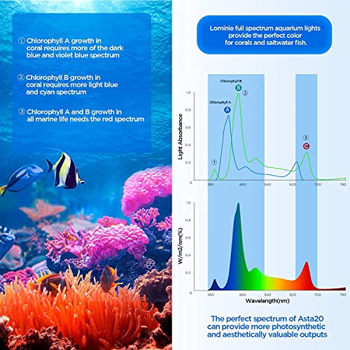 Lominie LED Aquarium Light, Full Spectrum Fish Tank Clip-on Saltwater Planted Light With Adjustable Gooseneck for Coral Tanks, Dimmable Nano Refugium Supports Remote WiFi - size: A20-S