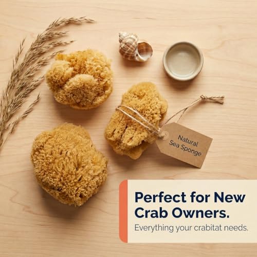 Hermit Crab- All Natural Sea Sponges - 5 Pack Unbleached, Provides Nutrients, Safer Drinking, Helps Maintain Habitat Tank Humidity and Aquarium Decor, Premium Care for Your Crabs