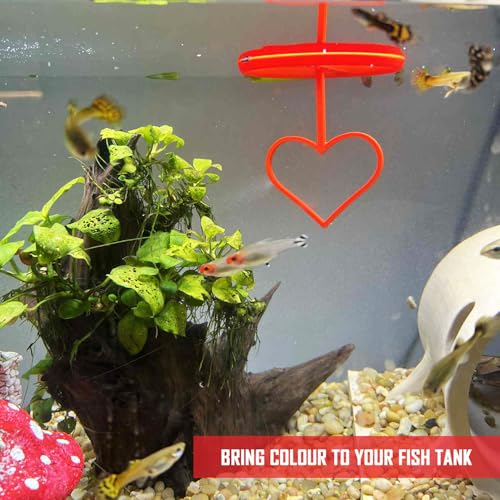 Floating Heart Betta Training Ring, Heart Active Betta Training Ring, Floating Feeder, Enrichment Toys for Aquarium Decor, Pink, 3.8in x 3.7in (Red, Pack of 2) - color: Red, size: Pack of 2