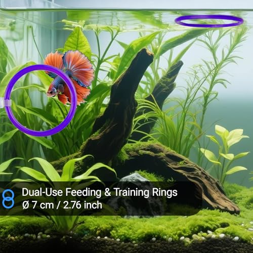 Betta Fish Toy Set: Betta Training Floating Mirror, Training/Feeding Ring, Spoon, and Resting Leaf. Promotes Exercise. Betta Toys, Resting & Feeding Kit, Purple - color: Purple