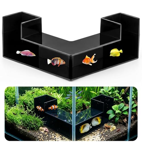 Fish Tank Decor Aquarium Cave - 2-Hole Aquarium Tunnel Fish Tank Cave + 360° View | Under Gravel Fish Hideout Fish Tank Accessories for Betta Fish, Shrimp, Corydora, Pleco (Black Square) - color: Black Square