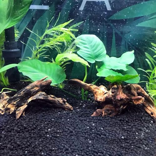 kathson 3 PCS Aquarium Driftwood Decoration Natural Driftwood Branches Reptiles Habitat Wood Decor Assorted Sizes Wood for Fish Tank Decor Reptile Terrarium Accessories Decor - size: 3Pcs: 4.5-9.5in